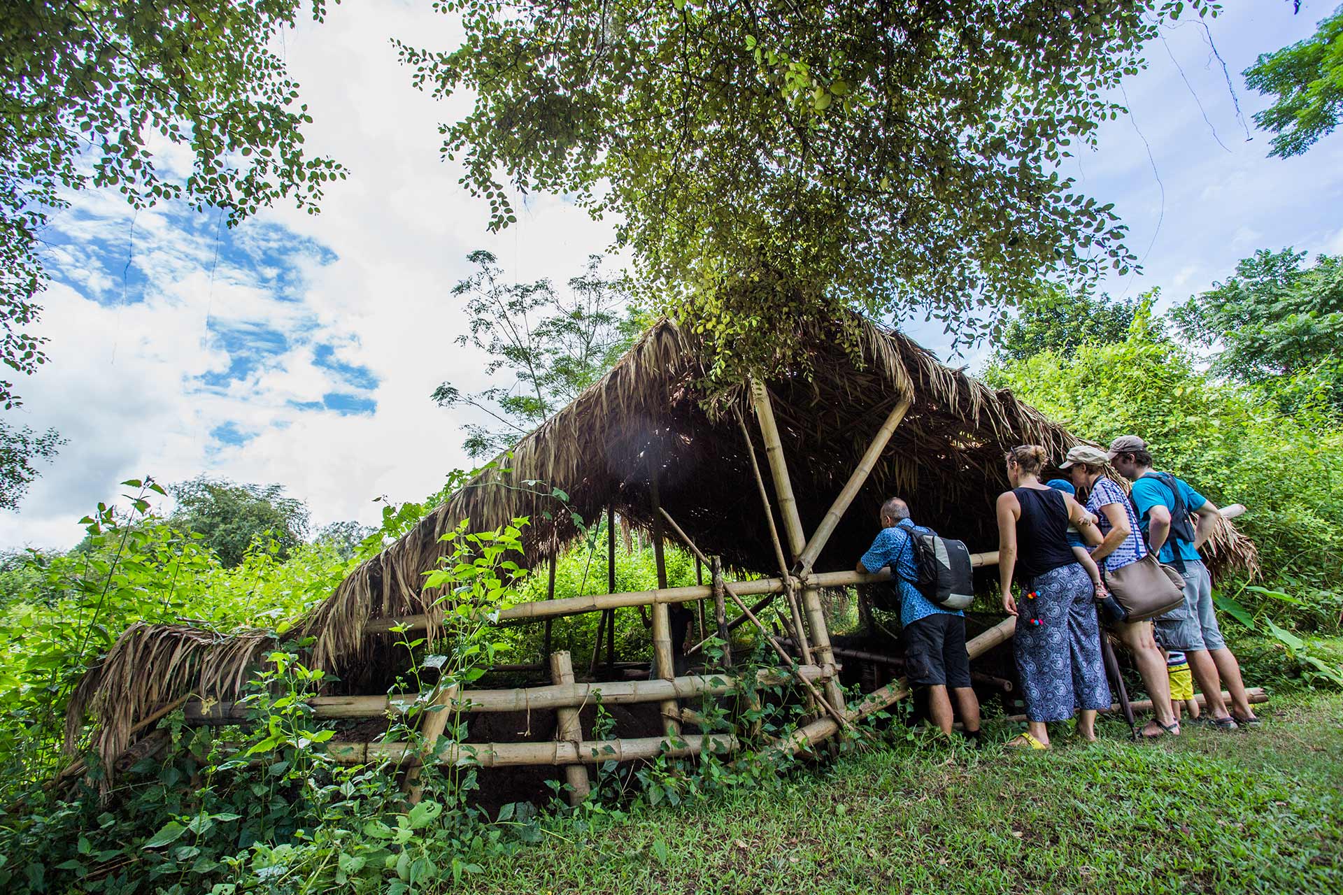 Luang Namtha Forest Tribe Trekking Tour - 3 Days 2