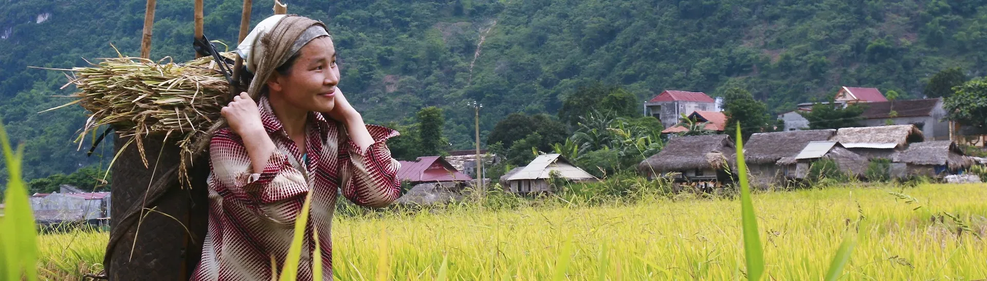 Myanmar Trekking Tours 1