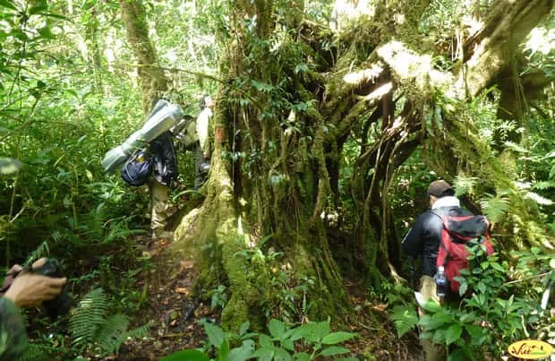 2 days Pindaya Trekking Around