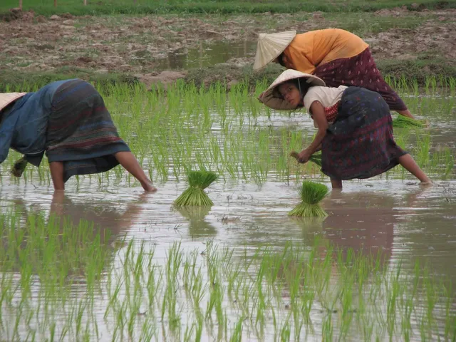 6 days Keng Tung Trekking Tours