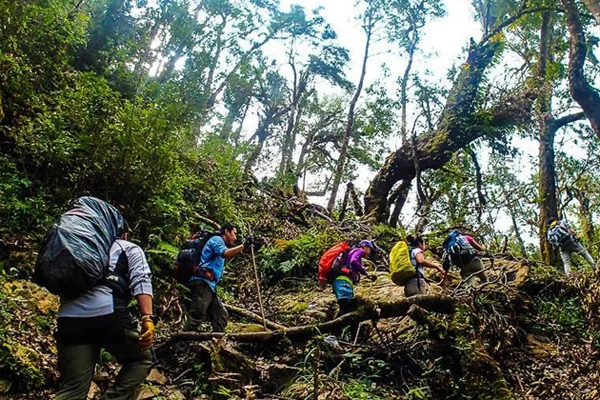 5 Days Golden Triangle Trekking Kyaing Tong