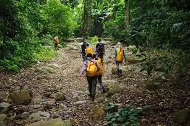 4 days Trekking in Mt.Victoria and Chin Discovery