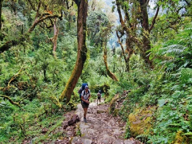 Luang Prabang Hike To Thin Pha Trail, Boat, and Tad Sae Waterfall - 1 Day 2
